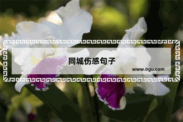同城伤感句子