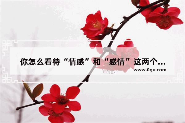 你怎么看待“情感”和“感情”这两个词的区别