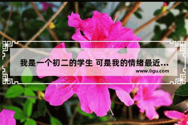 我是一个初二的学生 可是我的情绪最近真的要崩溃了 我不跟别人讲 我害怕别人说我矫情 我该怎么办