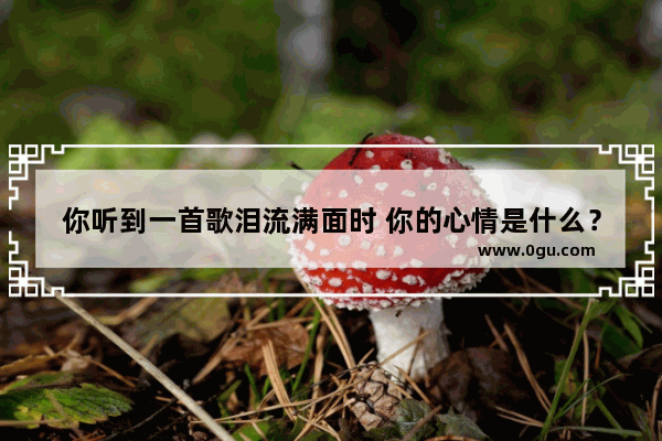 你听到一首歌泪流满面时 你的心情是什么？说出来