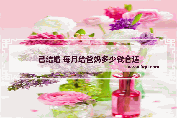 已结婚 每月给爸妈多少钱合适