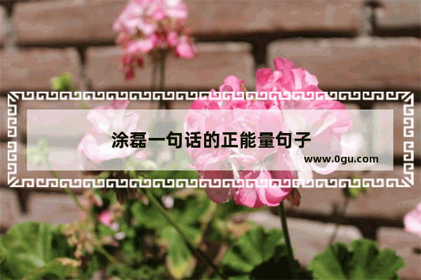 涂磊一句话的正能量句子