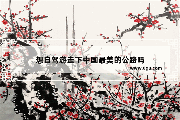 想自驾游走下中国最美的公路吗