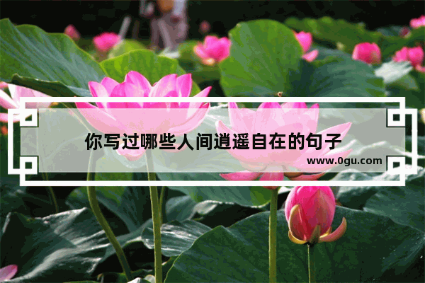 你写过哪些人间逍遥自在的句子