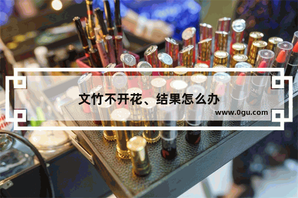 文竹不开花、结果怎么办
