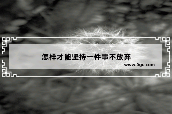 怎样才能坚持一件事不放弃