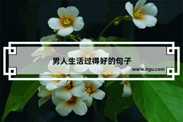 男人生活过得好的句子
