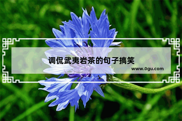 调侃武夷岩茶的句子搞笑