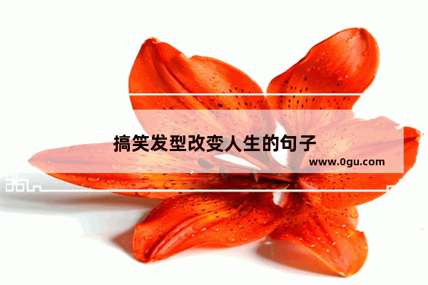 搞笑发型改变人生的句子