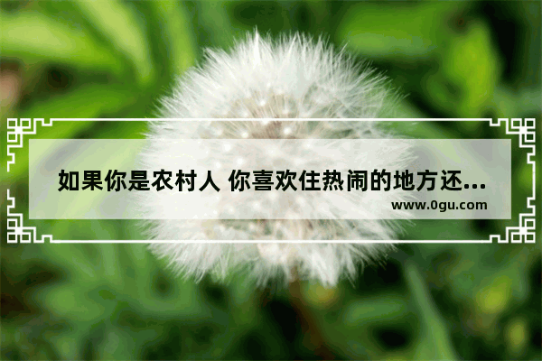 如果你是农村人 你喜欢住热闹的地方还是安静的地方？为什么