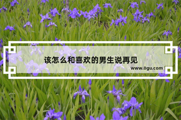 该怎么和喜欢的男生说再见