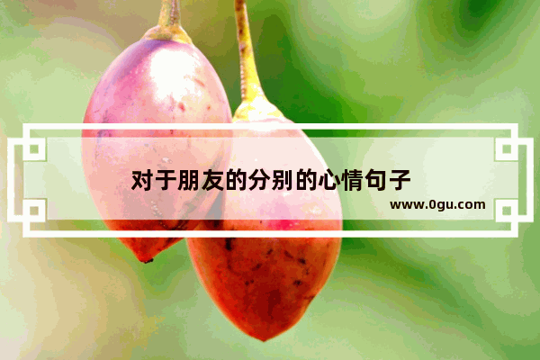 对于朋友的分别的心情句子