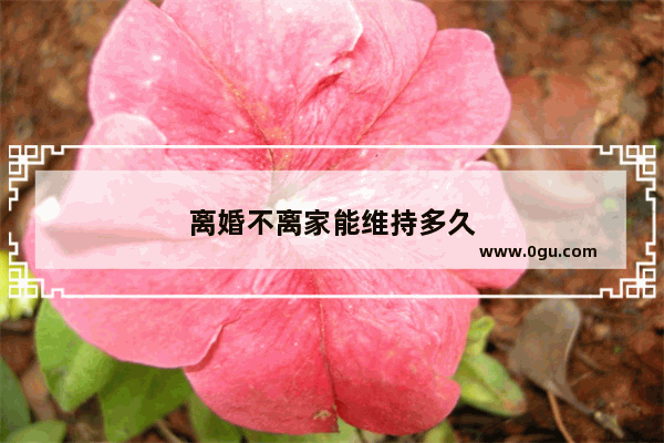 离婚不离家能维持多久