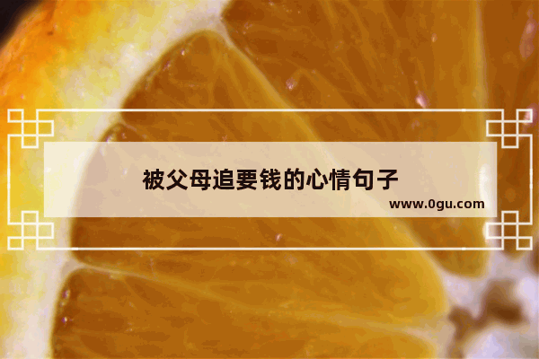 被父母追要钱的心情句子
