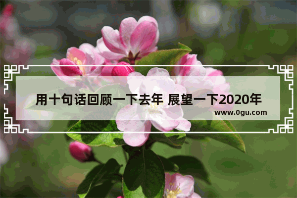 用十句话回顾一下去年 展望一下2020年