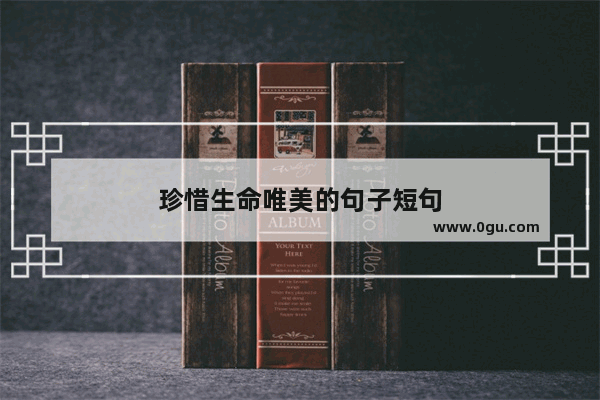 珍惜生命唯美的句子短句