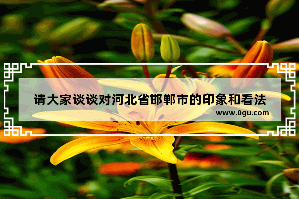 请大家谈谈对河北省邯郸市的印象和看法
