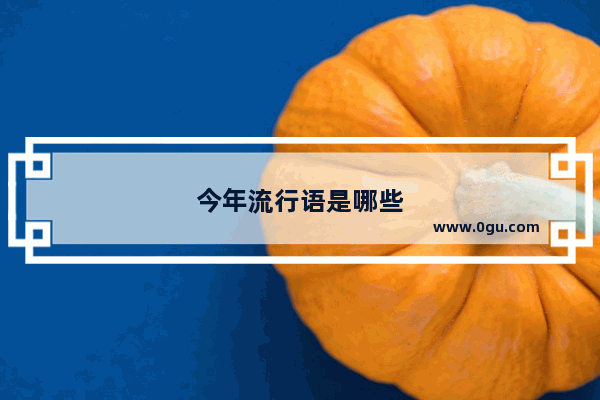 今年流行语是哪些