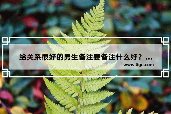 给关系很好的男生备注要备注什么好？很逗很搞笑那样的。我没男朋友
