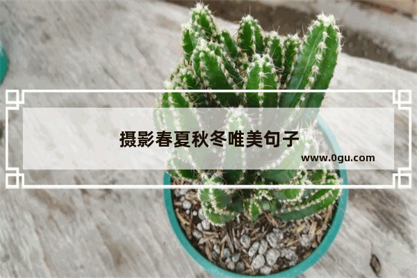 摄影春夏秋冬唯美句子
