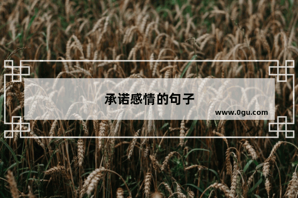 承诺感情的句子
