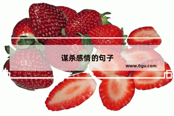 谋杀感情的句子