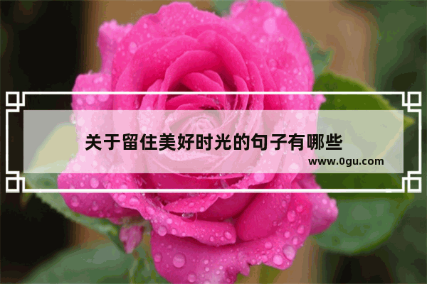 关于留住美好时光的句子有哪些