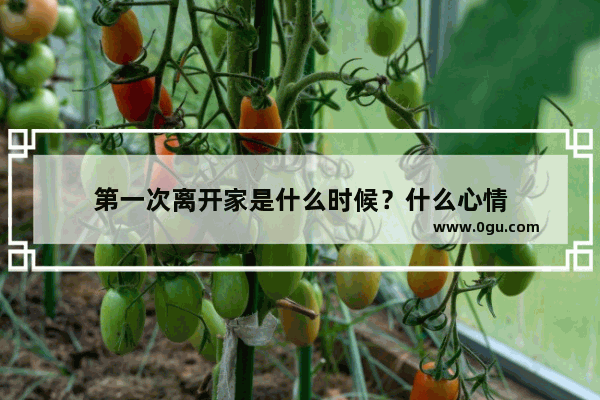 第一次离开家是什么时候？什么心情