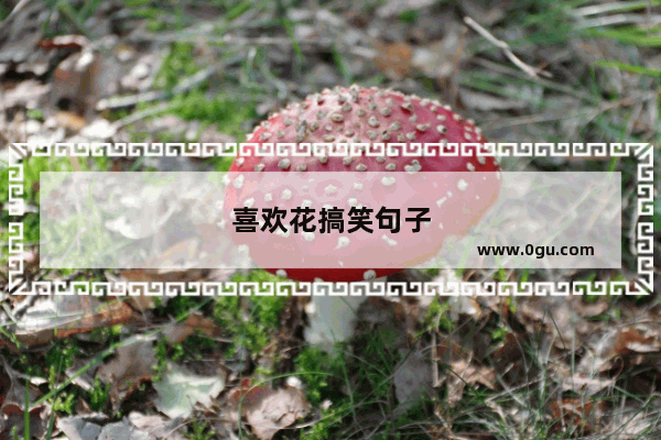 喜欢花搞笑句子