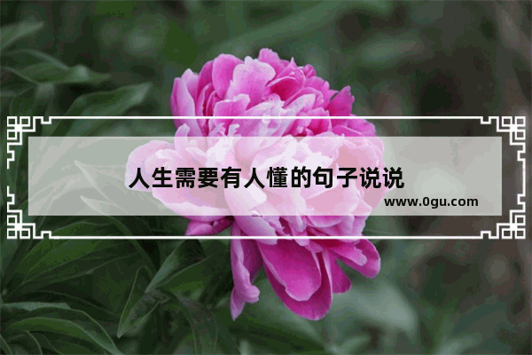 人生需要有人懂的句子说说