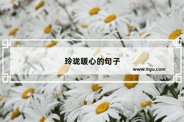 玲珑暖心的句子
