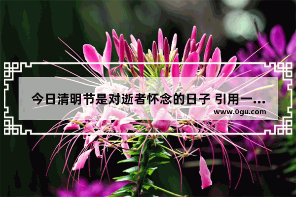 今日清明节是对逝者怀念的日子 引用一句或自己写一句诗来表达自己的心情好吗