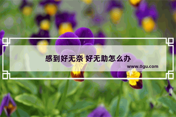 感到好无奈 好无助怎么办