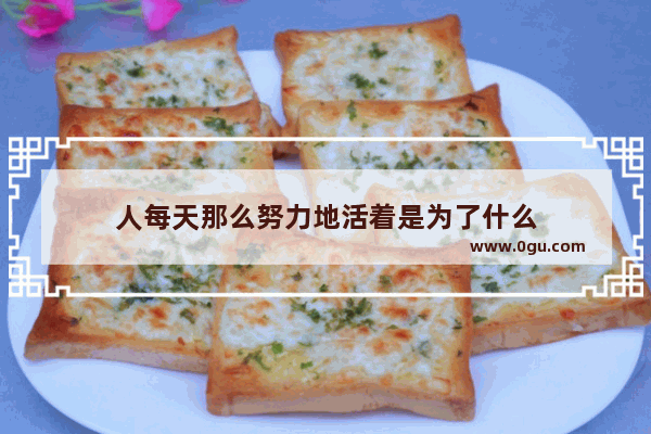 人每天那么努力地活着是为了什么
