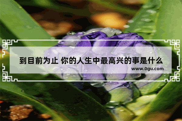 到目前为止 你的人生中最高兴的事是什么
