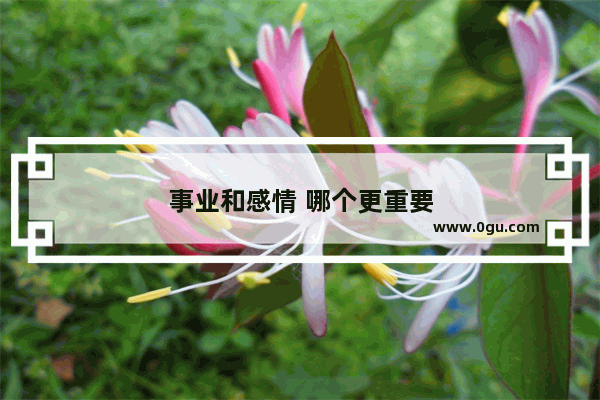 事业和感情 哪个更重要