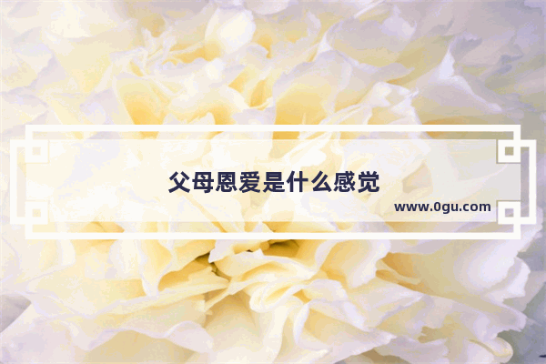 父母恩爱是什么感觉