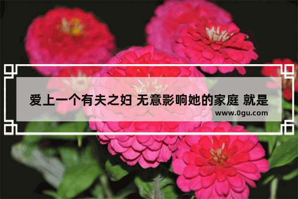 爱上一个有夫之妇 无意影响她的家庭 就是放不下她 怎么办