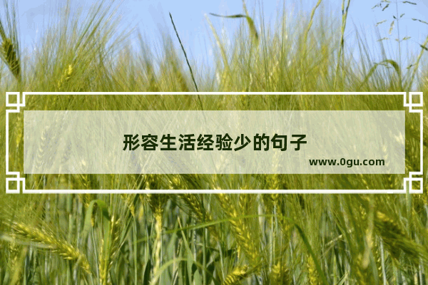 形容生活经验少的句子