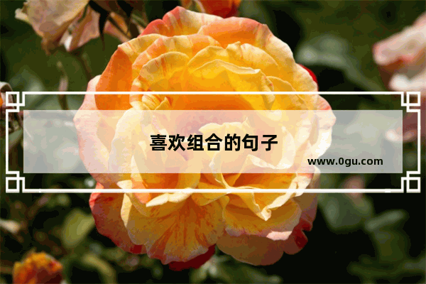 喜欢组合的句子