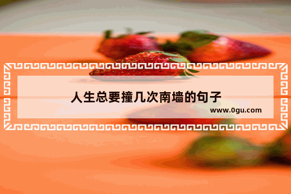 人生总要撞几次南墙的句子