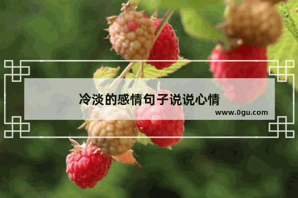 冷淡的感情句子说说心情