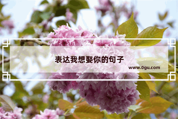 表达我想娶你的句子