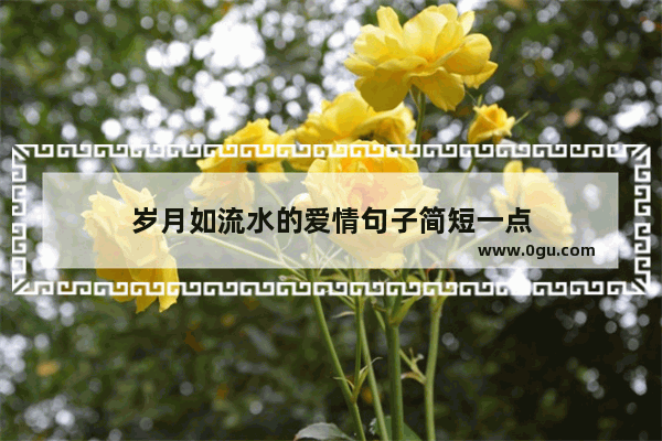 岁月如流水的爱情句子简短一点