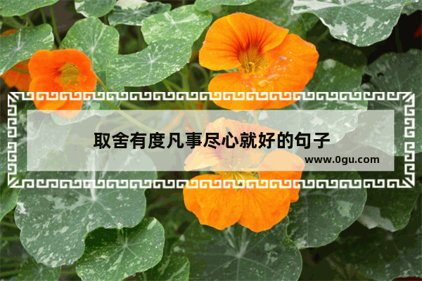 取舍有度凡事尽心就好的句子