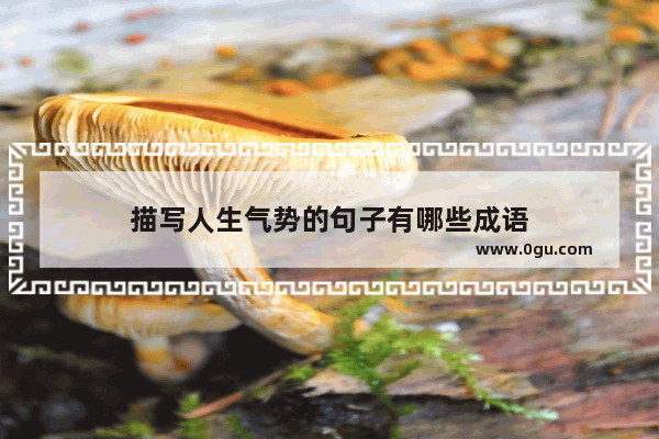 描写人生气势的句子有哪些成语
