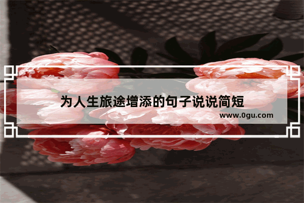 为人生旅途增添的句子说说简短