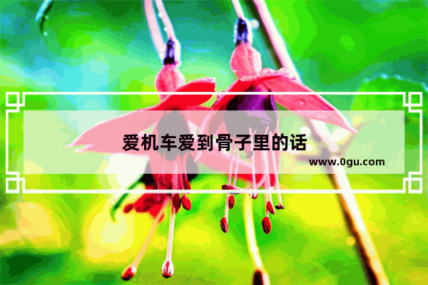 爱机车爱到骨子里的话