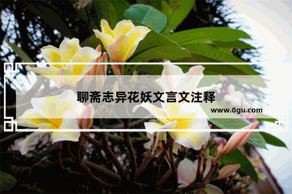 聊斋志异花妖文言文注释