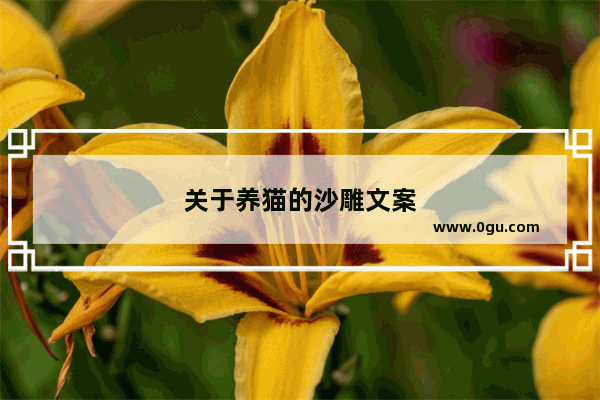 关于养猫的沙雕文案